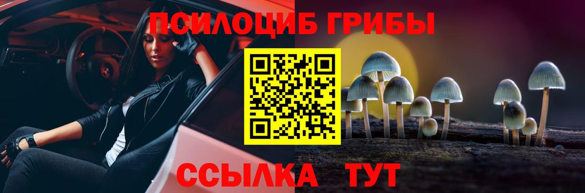 Галлюциногенные грибы Magic Shrooms  Вход с VPN  как найти закладки  Усть-Джегута 
